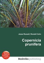 Copernicia prunifera