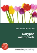 Corypha microclada