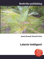 Latania loddigesii