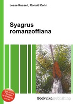 Syagrus romanzoffiana