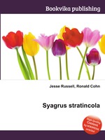 Syagrus stratincola