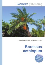 Borassus aethiopum