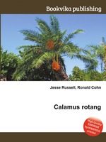 Calamus rotang