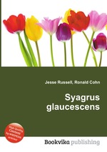 Syagrus glaucescens