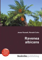 Ravenea albicans