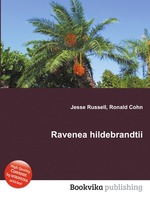 Ravenea hildebrandtii