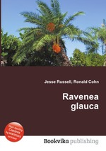 Ravenea glauca