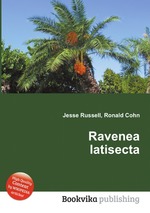 Ravenea latisecta