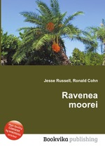 Ravenea moorei