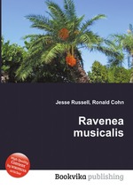 Ravenea musicalis