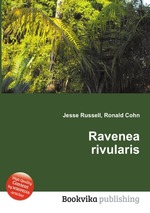 Ravenea rivularis