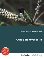 Anna`s Hummingbird