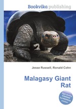 Malagasy Giant Rat