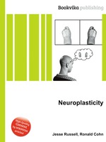 Neuroplasticity