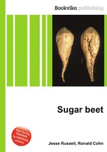 Sugar beet