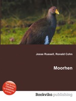 Moorhen