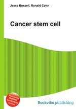 Cancer stem cell