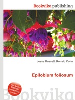 Epilobium foliosum