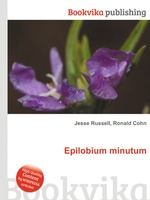 Epilobium minutum