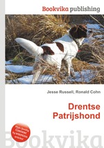 Drentse Patrijshond