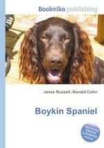 Boykin Spaniel