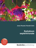 Epilobium septentrionale