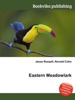 Eastern Meadowlark