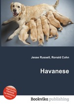 Havanese