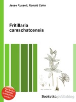 Fritillaria camschatcensis