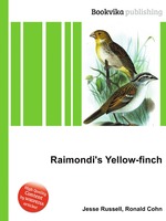 Raimondi`s Yellow-finch