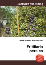 Fritillaria persica