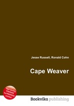 Cape Weaver