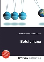 Betula nana