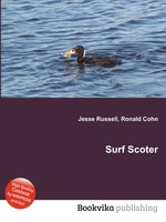 Surf Scoter