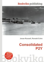 Consolidated P2Y