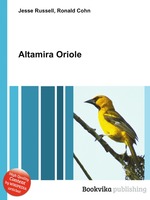 Altamira Oriole