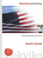 Scott`s Oriole