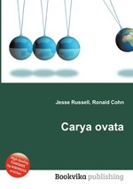 Carya ovata