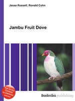 Jambu Fruit Dove