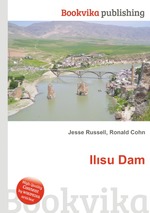 Ilsu Dam