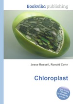 Chloroplast