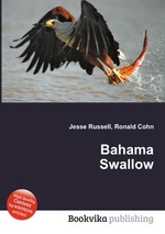 Bahama Swallow