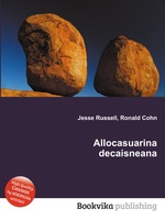 Allocasuarina decaisneana