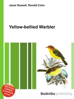 Yellow-bellied Warbler