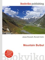 Mountain Bulbul