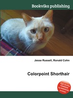 Colorpoint Shorthair