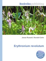 Erythronium revolutum