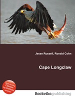 Cape Longclaw