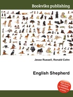 English Shepherd