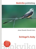 Schlegel`s Asity